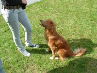 k-2008-07-13 007